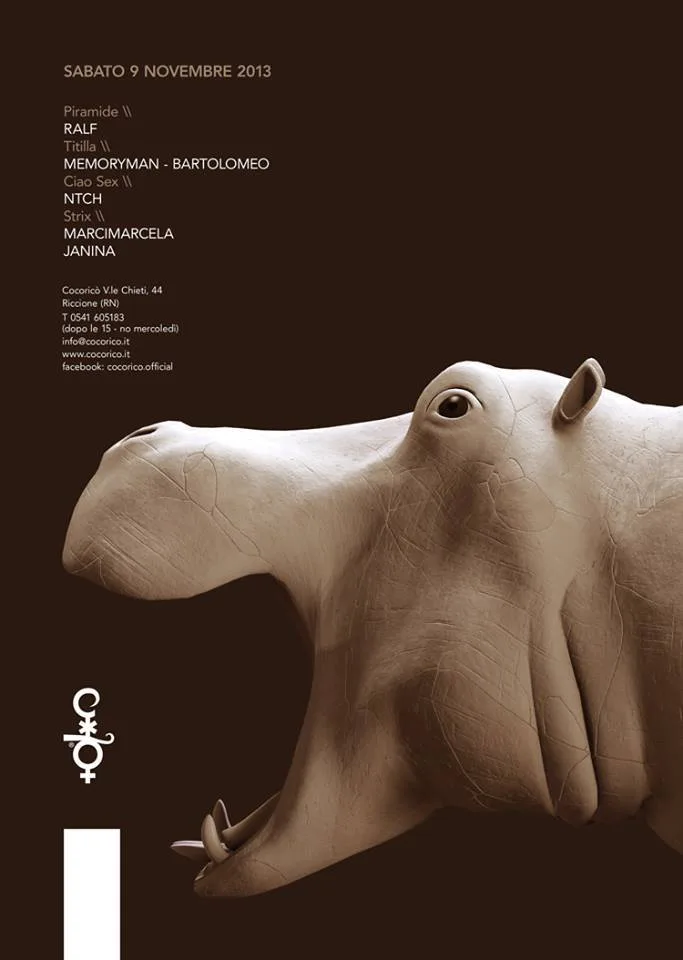 Front view of the flyer for the event by Cocoricò that took place on 2013-11-09