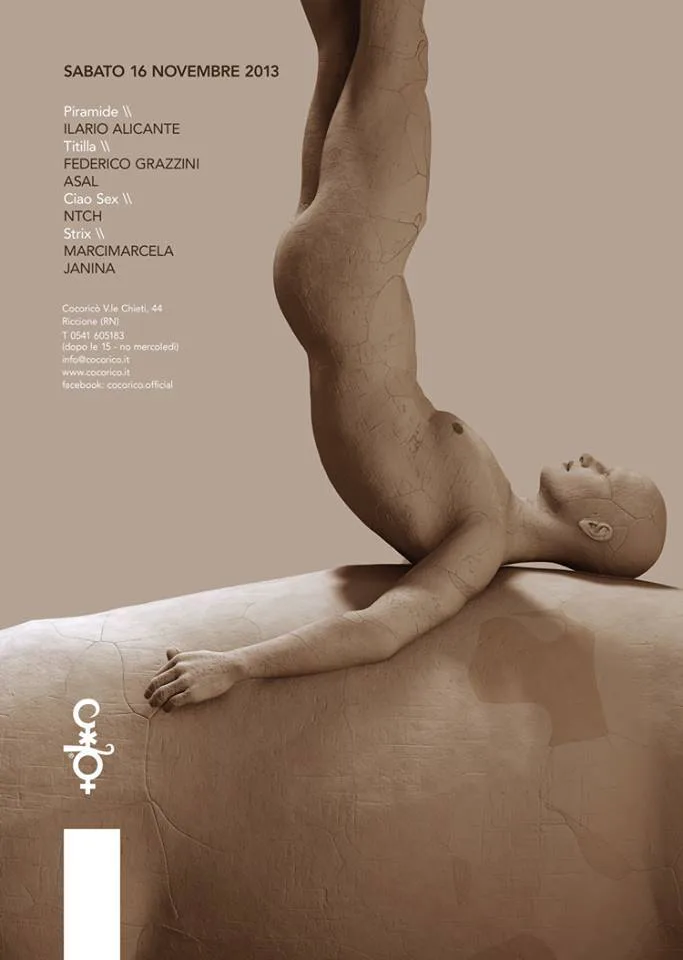 Front view of the flyer for the event by Cocoricò that took place on 2013-11-16