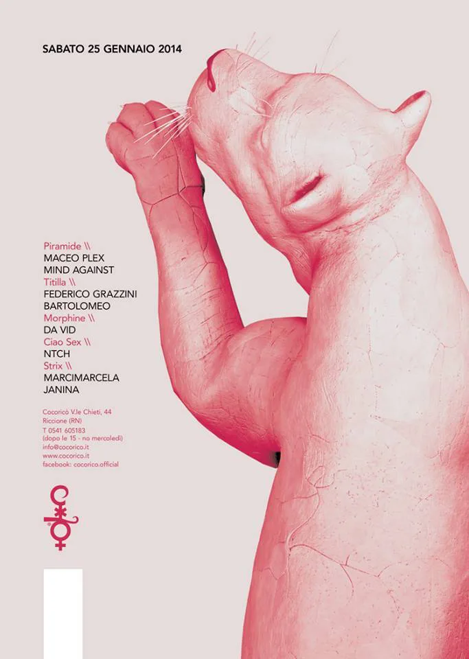 Front view of the flyer for the event by Cocoricò that took place on 2014-01-25