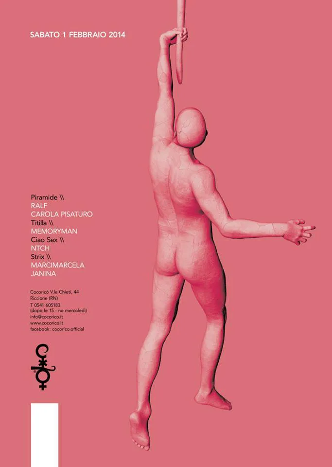 Front view of the flyer for the event by Cocoricò that took place on 2014-02-01