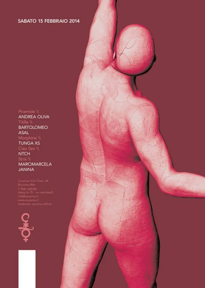 Front view of the flyer for the event by Cocoricò that took place on 2014-02-15