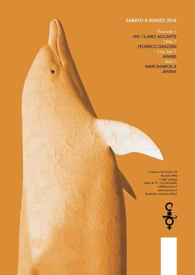 Front view of the flyer for the event by Cocoricò that took place on 2014-03-08