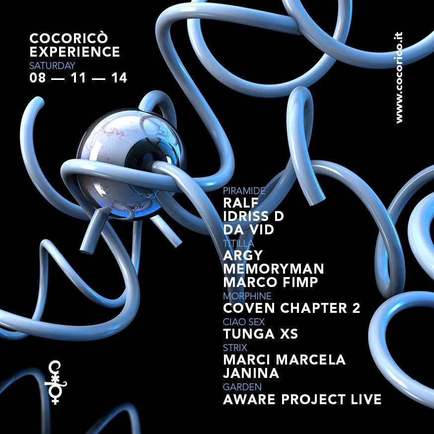 Front view of the flyer for the event by Cocoricò that took place on 2014-11-08