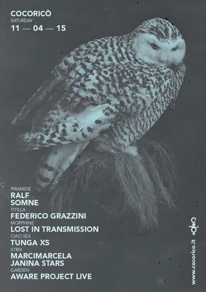 Front view of the flyer for the event by Cocoricò that took place on 2015-04-11